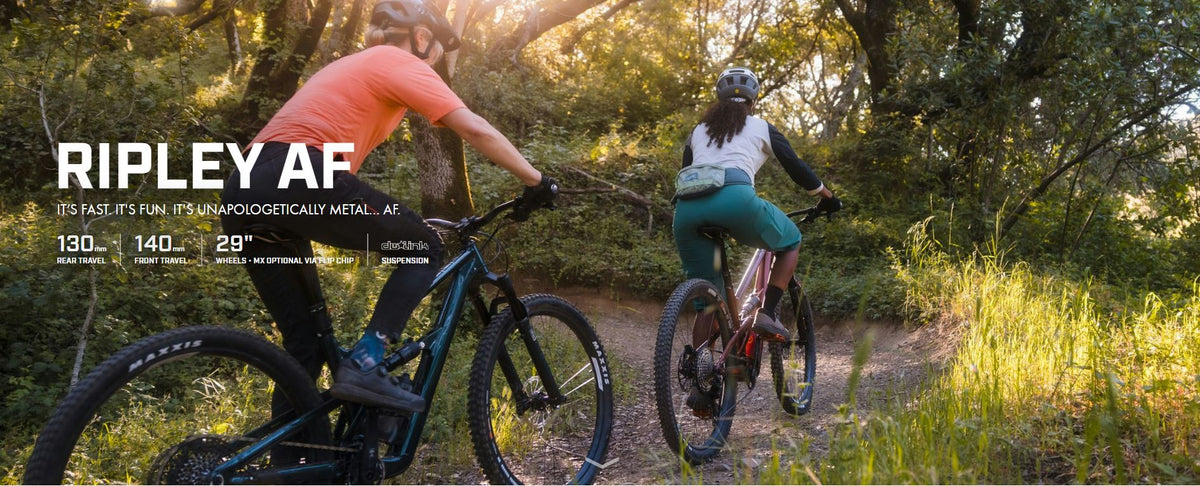 Adventure Inc