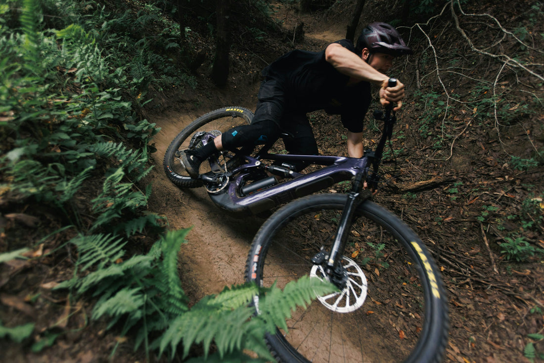 Adventure Inc