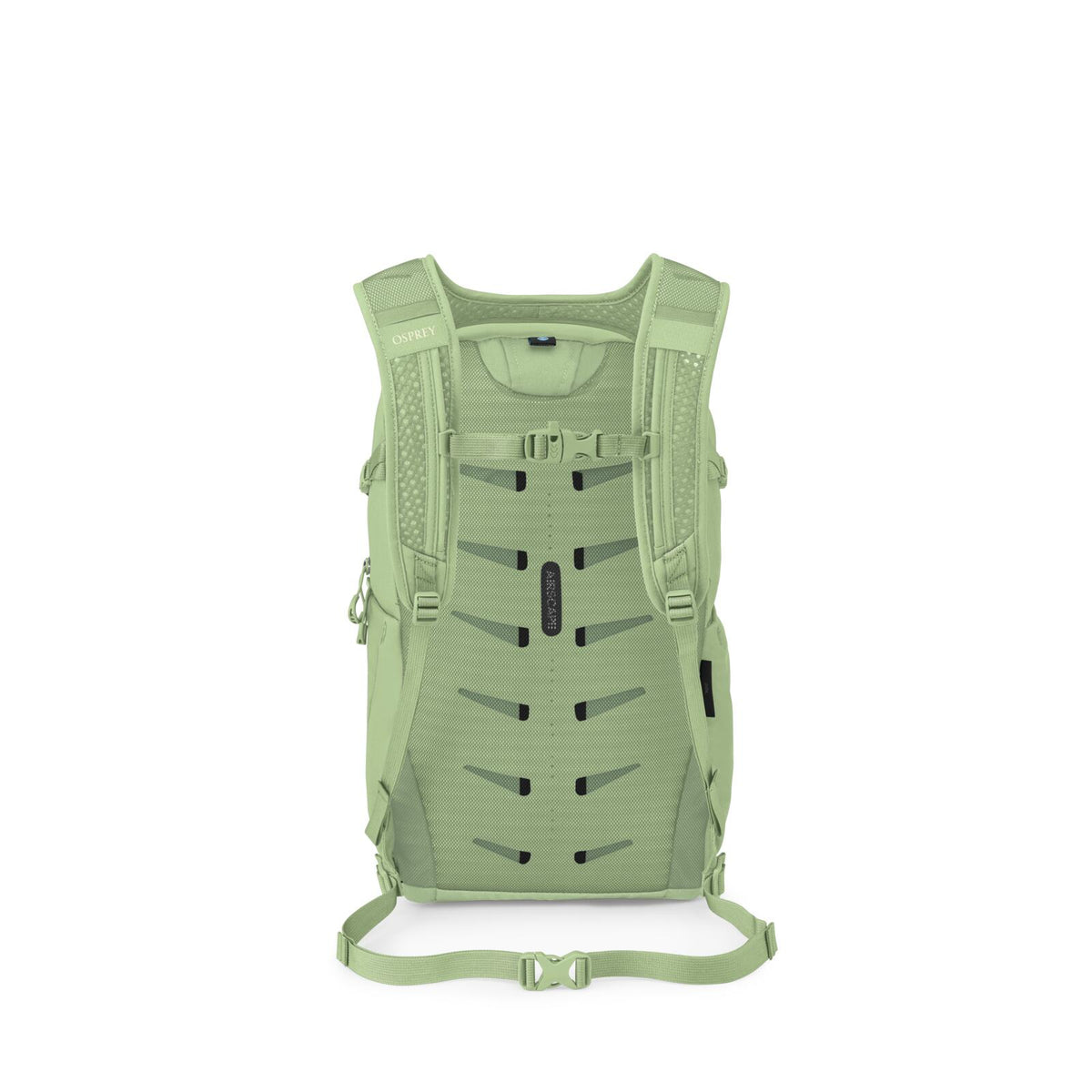 Osprey Daylite Plus Everyday Backpack
