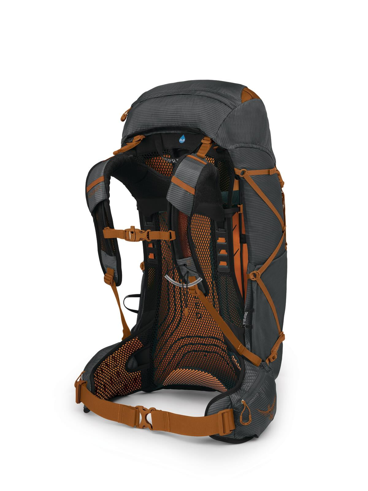 Osprey Exos 38 Men's Hiking Backpack