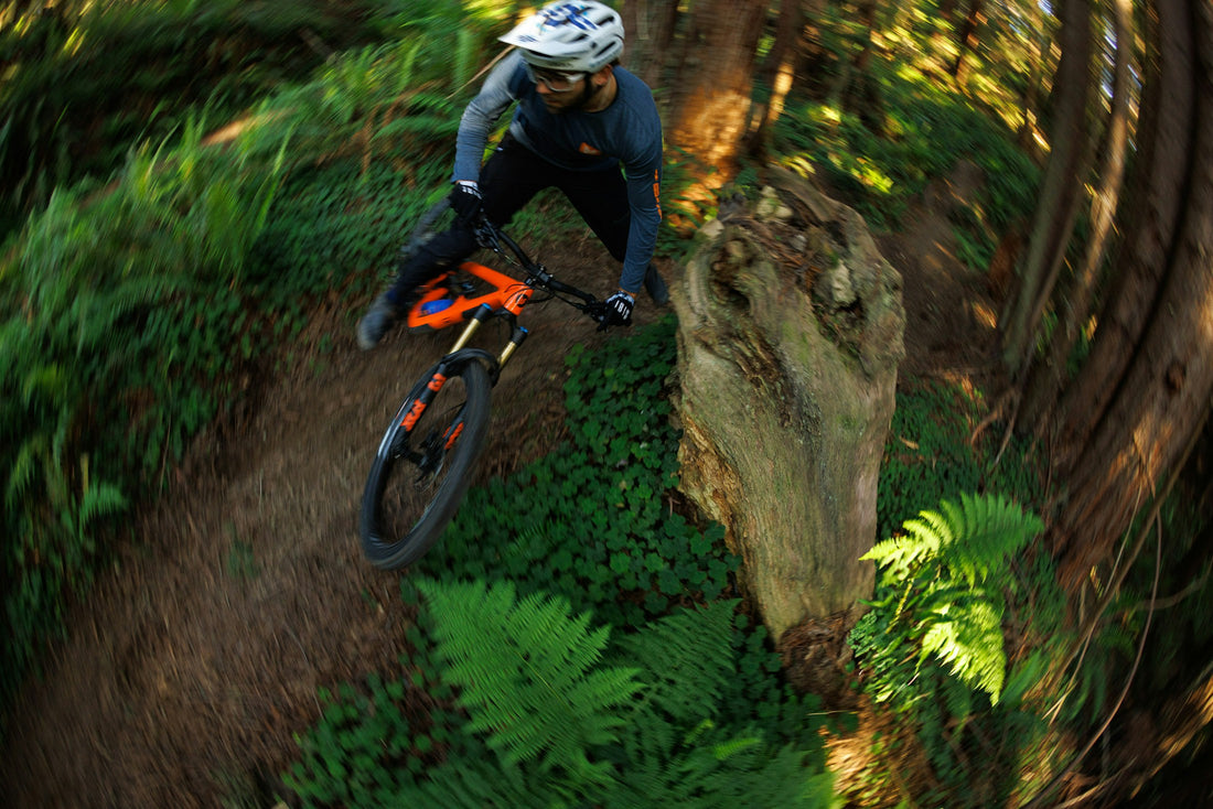 Adventure Inc