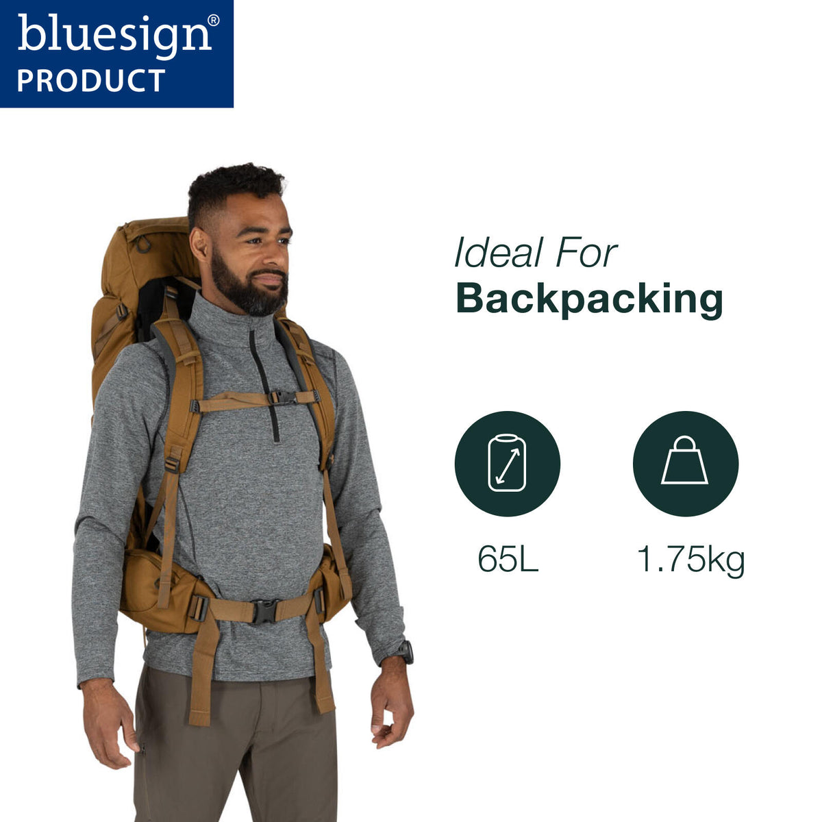 Osprey Rook 65 Men's Hiking Backpack