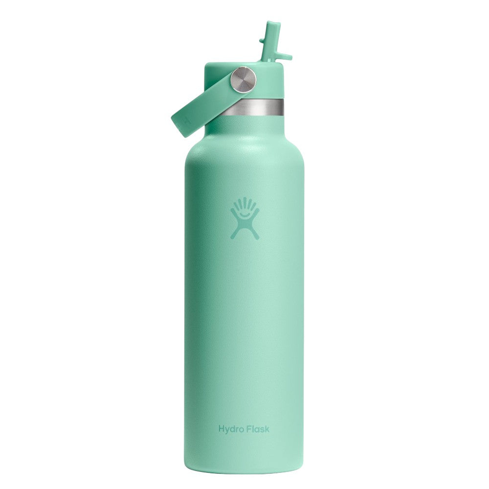 Hydro Flask 21oz Standard Mouth with Straw Cap Bottle, 621ml