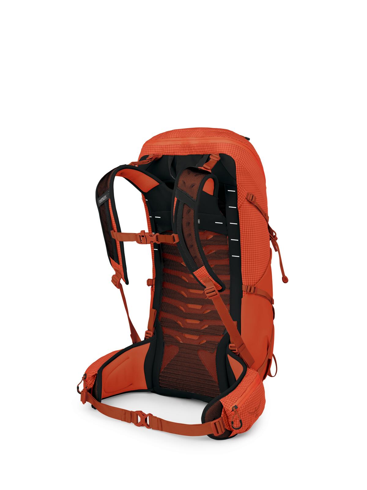 Osprey Talon Pro 30 Men's Hiking Backpack