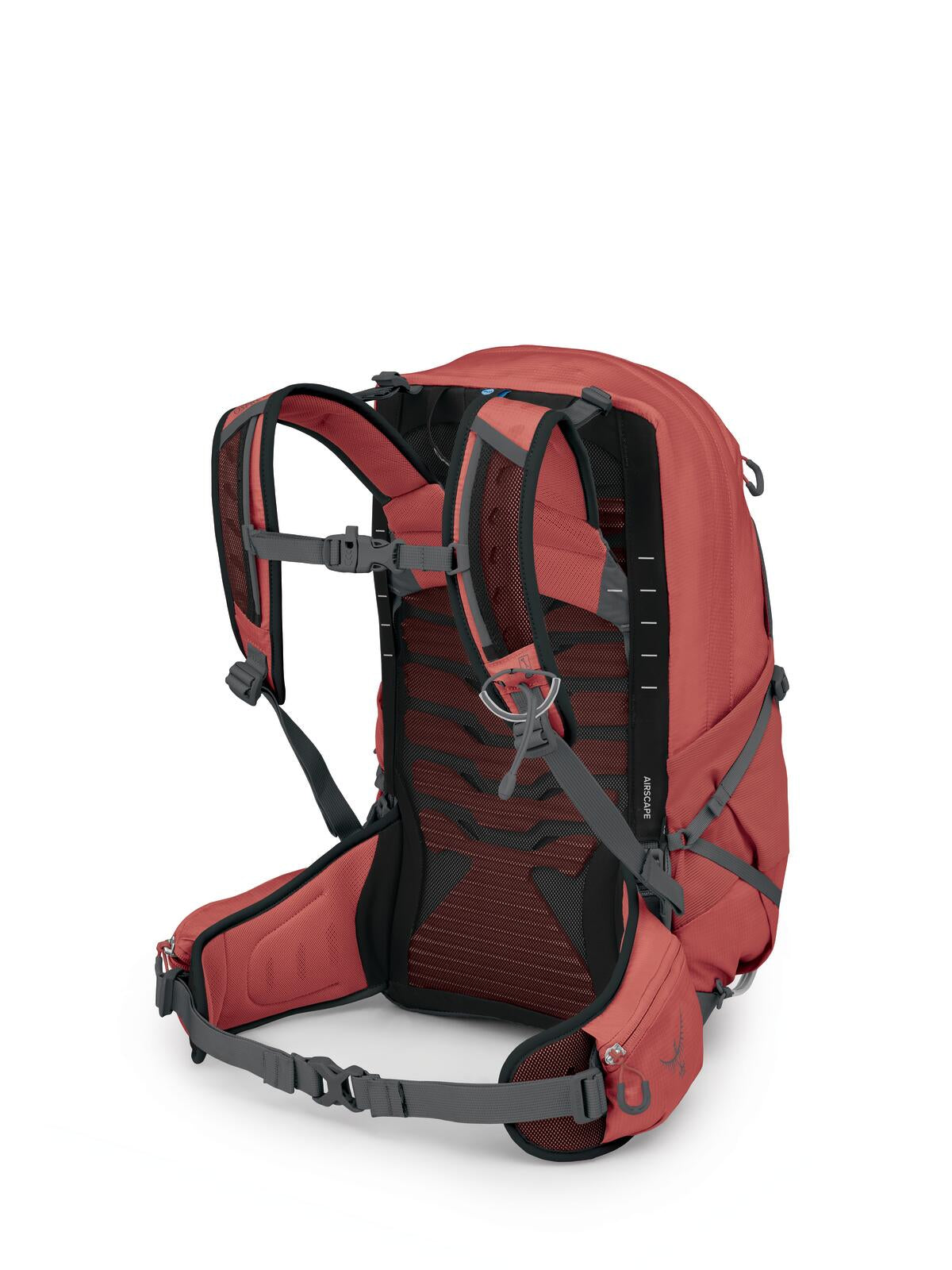 Osprey Tempest 22 Women's Hiking Backpack