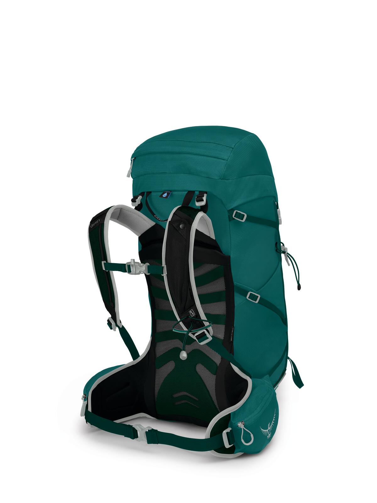 Osprey Tempest 30 Women's Hiking Backpack