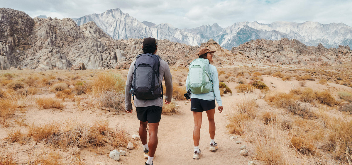 Adventure Inc