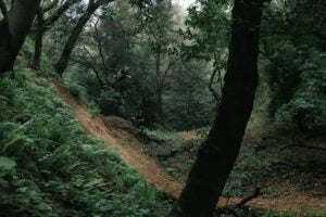 Adventure Inc