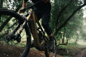 Adventure Inc